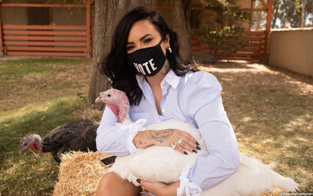 Demi Lovato Called Cringe Over Turkey Thanksgiving Post After Visiting Farm Sanctuary