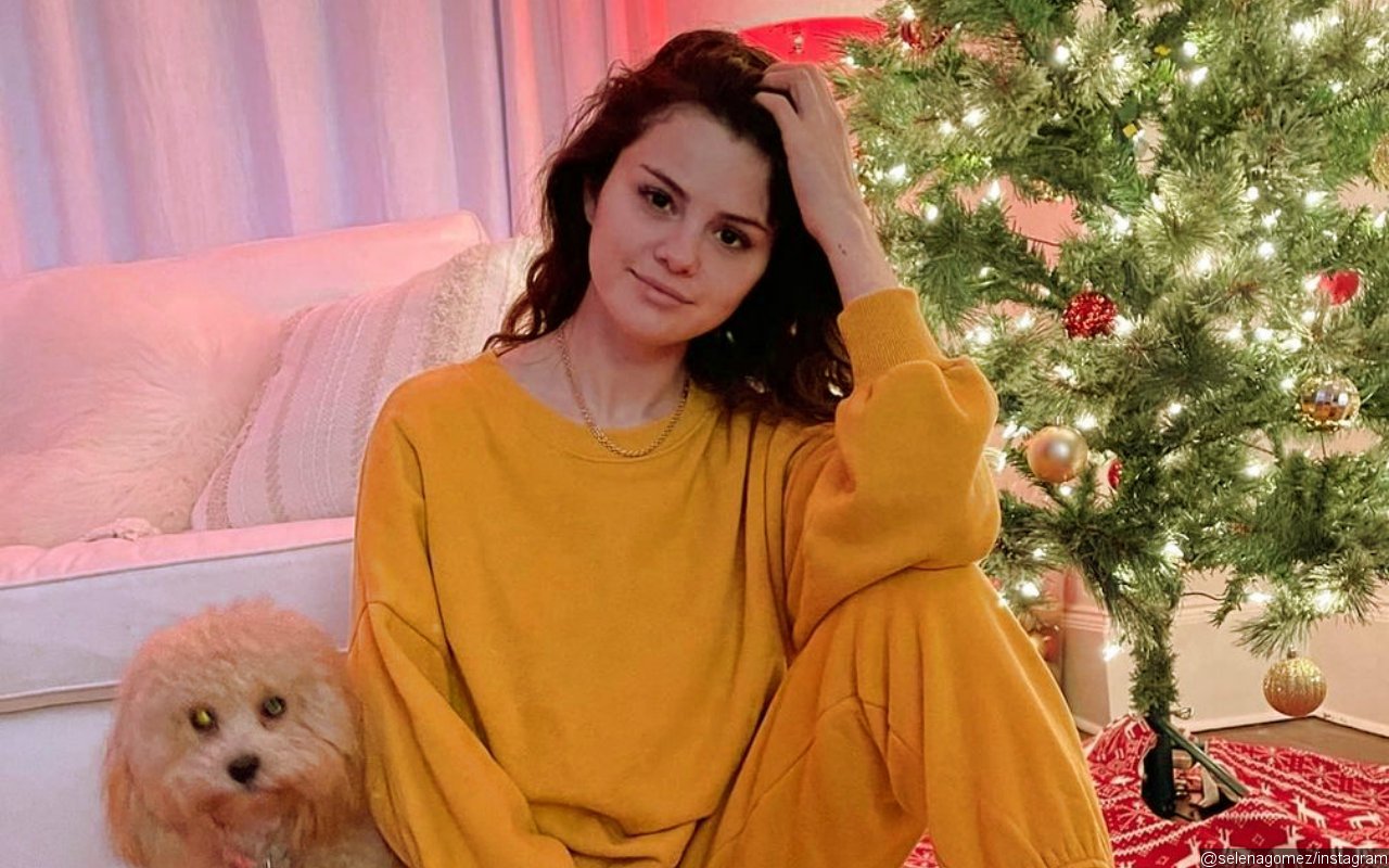 Selena Gomez Condemns Facebook and Instagram for Not Taking Down Neo-Nazi Pages