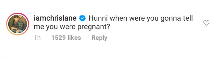 Lauren Bushnell's IG Comment