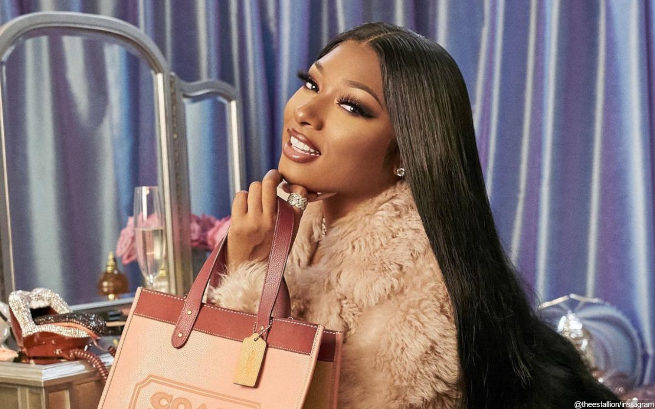Megan Thee Stallion Dubs Touching Letter From Congresswoman 'One of