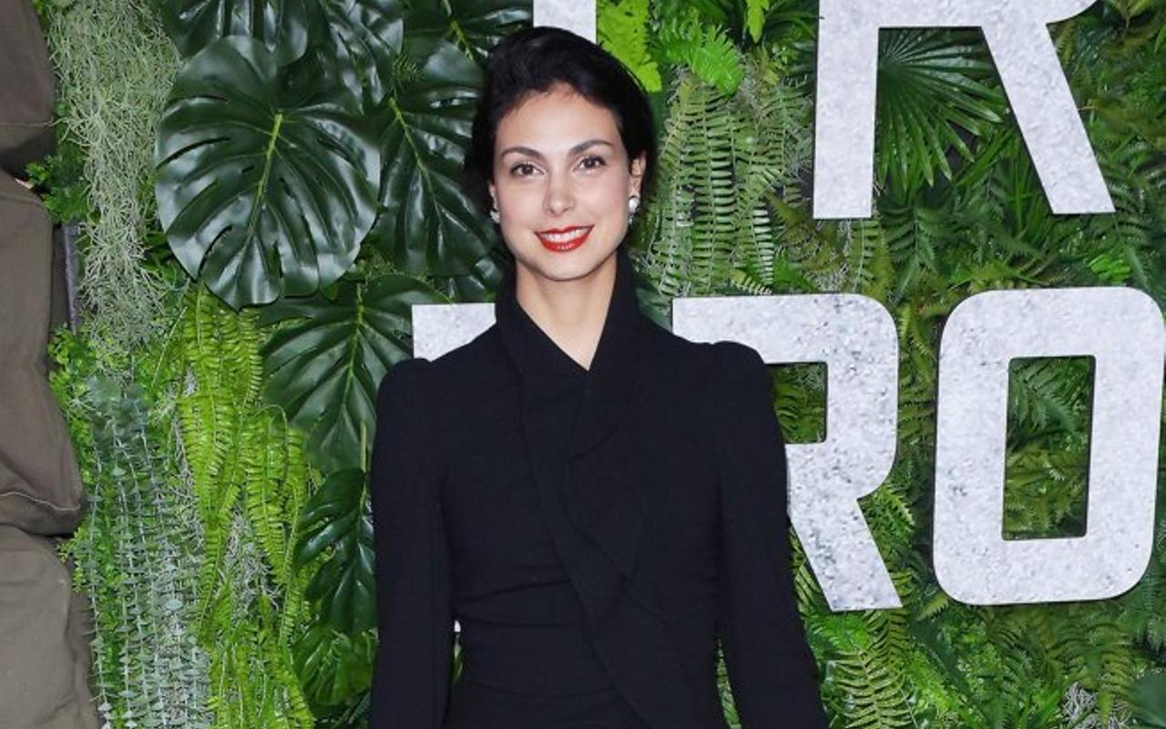 Morena Baccarin Pregnant With Third Child Тэги для поиска по паблику: morena baccarin pregnant with third child