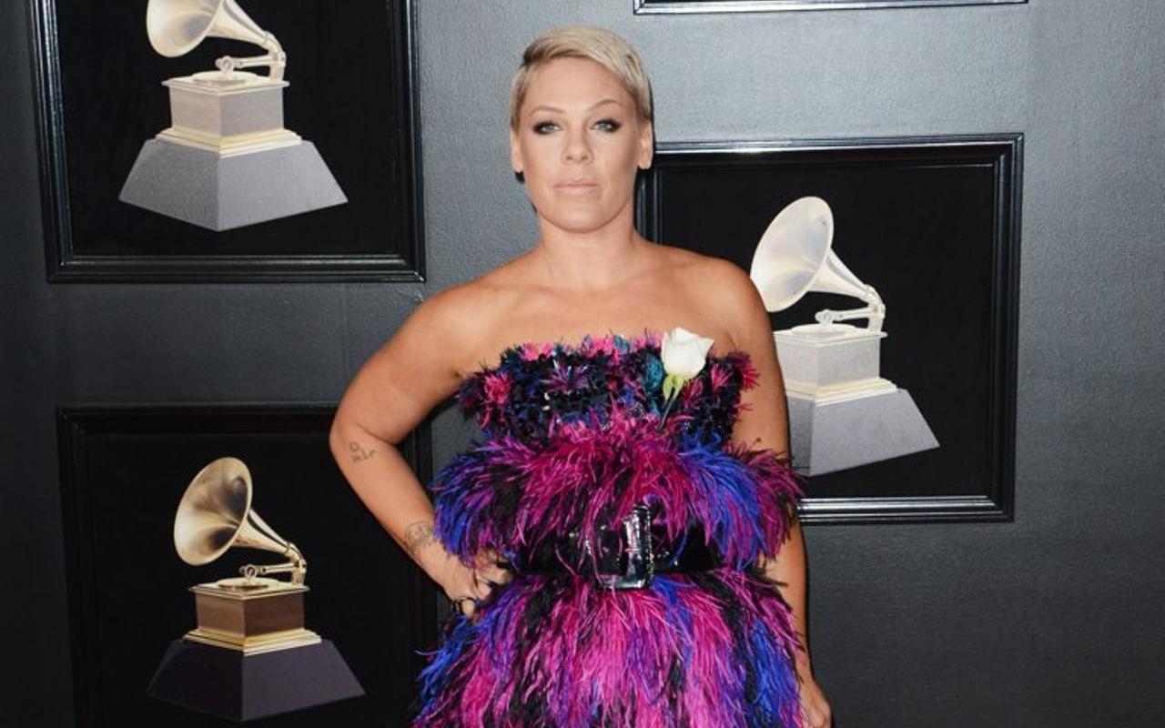 Pink Lands in Hospital After Fracturing Her Ankle
