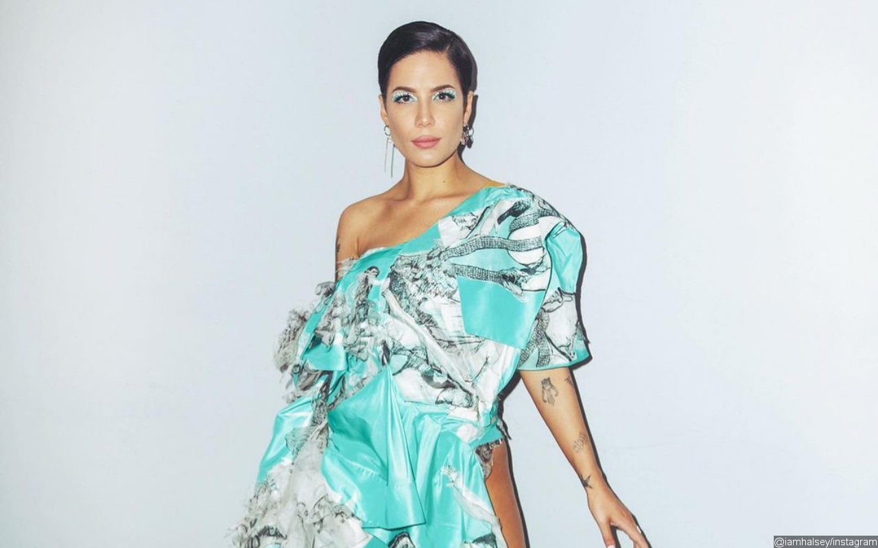 Halsey Seeks Permanent Restraining Order Against Disturbing Stalker