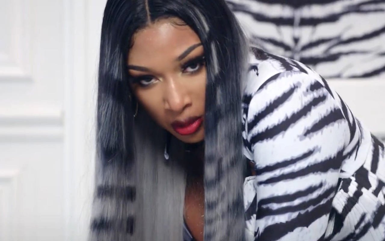 Megan Thee Stallion Thinks Men Are Against 'WAP' Due to 'Fear and Insecurity'