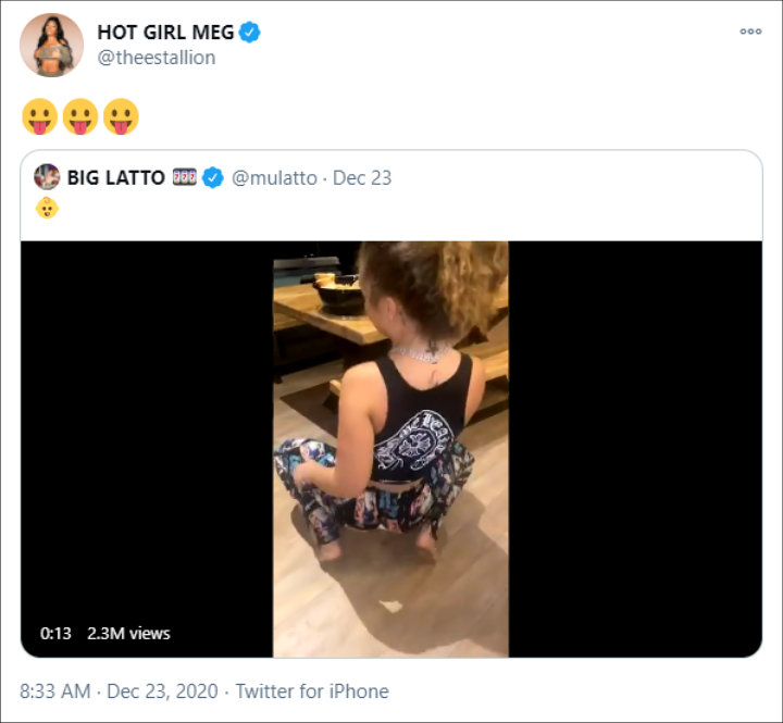 Megan Thee Stallion reacted to Mulatto twerking to Cry Baby