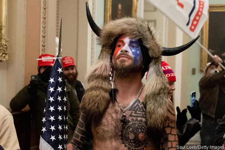 The Capitol Riot Viking