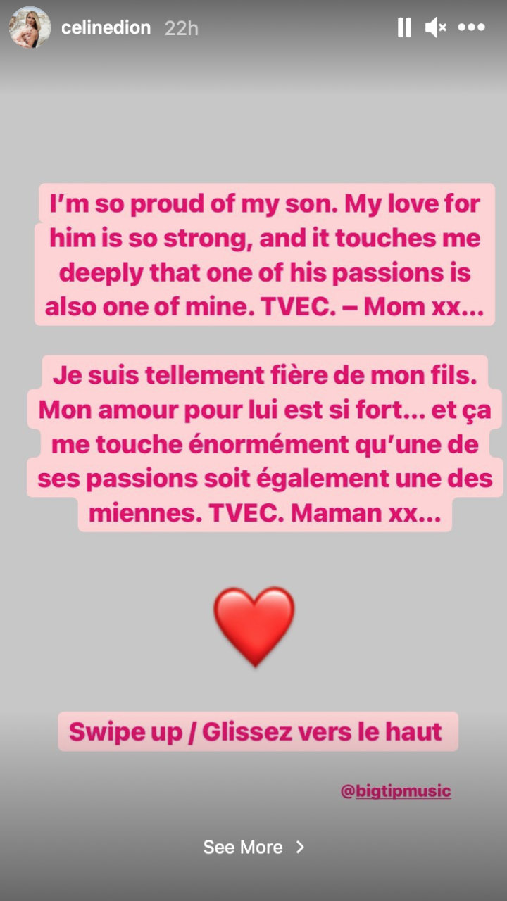 Celine Dion's IG Story