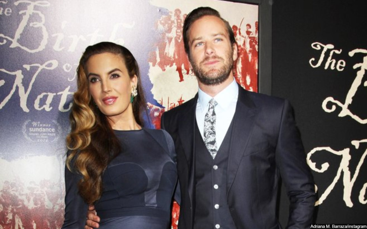 Elizabeth Chambers Voices Support for Victim of Abuse Amid Armie Hammer's DM Scandal