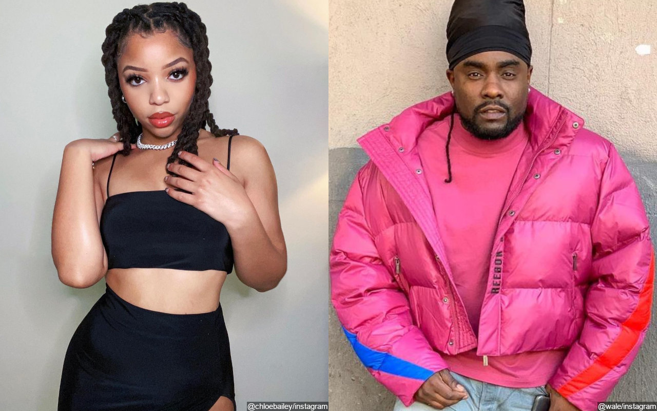 Chloe Bailey Gets Wale S Support After Online Attack Over Her Sexy Social Media Posts