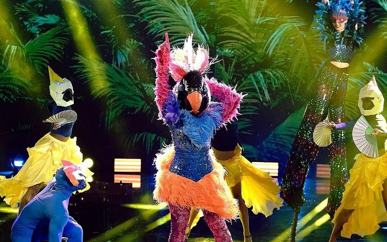 'The Masked Dancer' Exotic Bird Revealed as 'American Idol' Winner