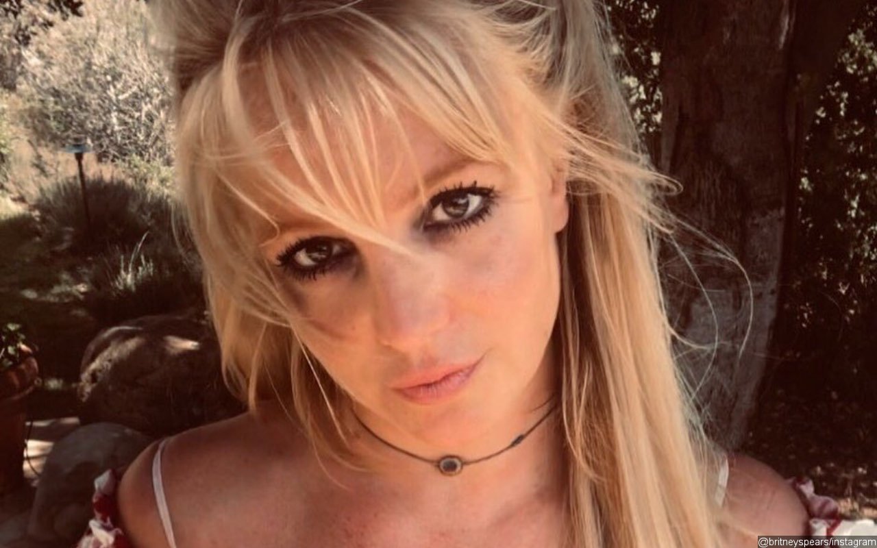 Britney Spears Reminds Each Person Has Their Story After Airing of Controversial Documentary