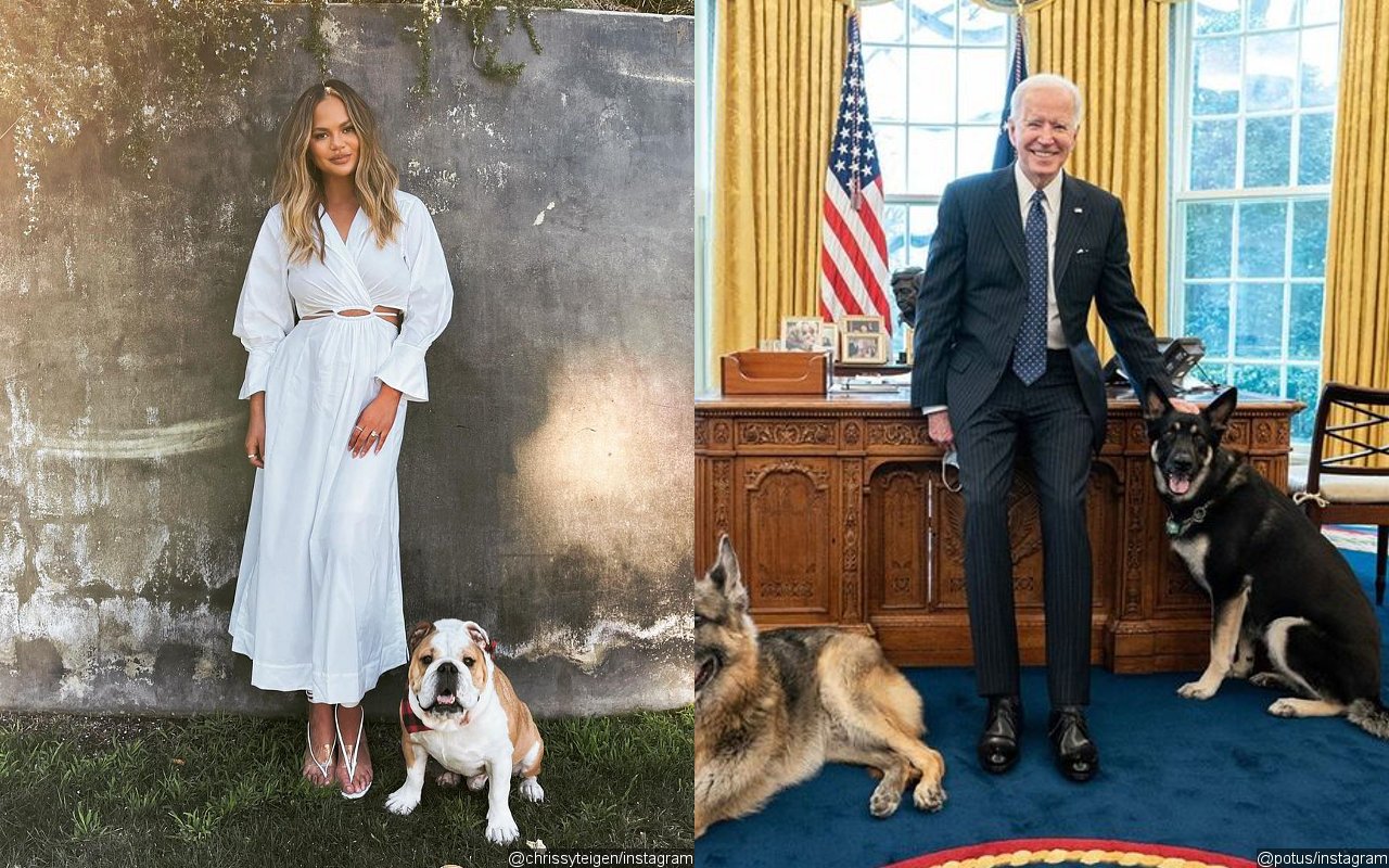 Chrissy Teigen Celebrates Being Unfollowed by Joe Biden's POTUS Twitter Account With Expletive Post