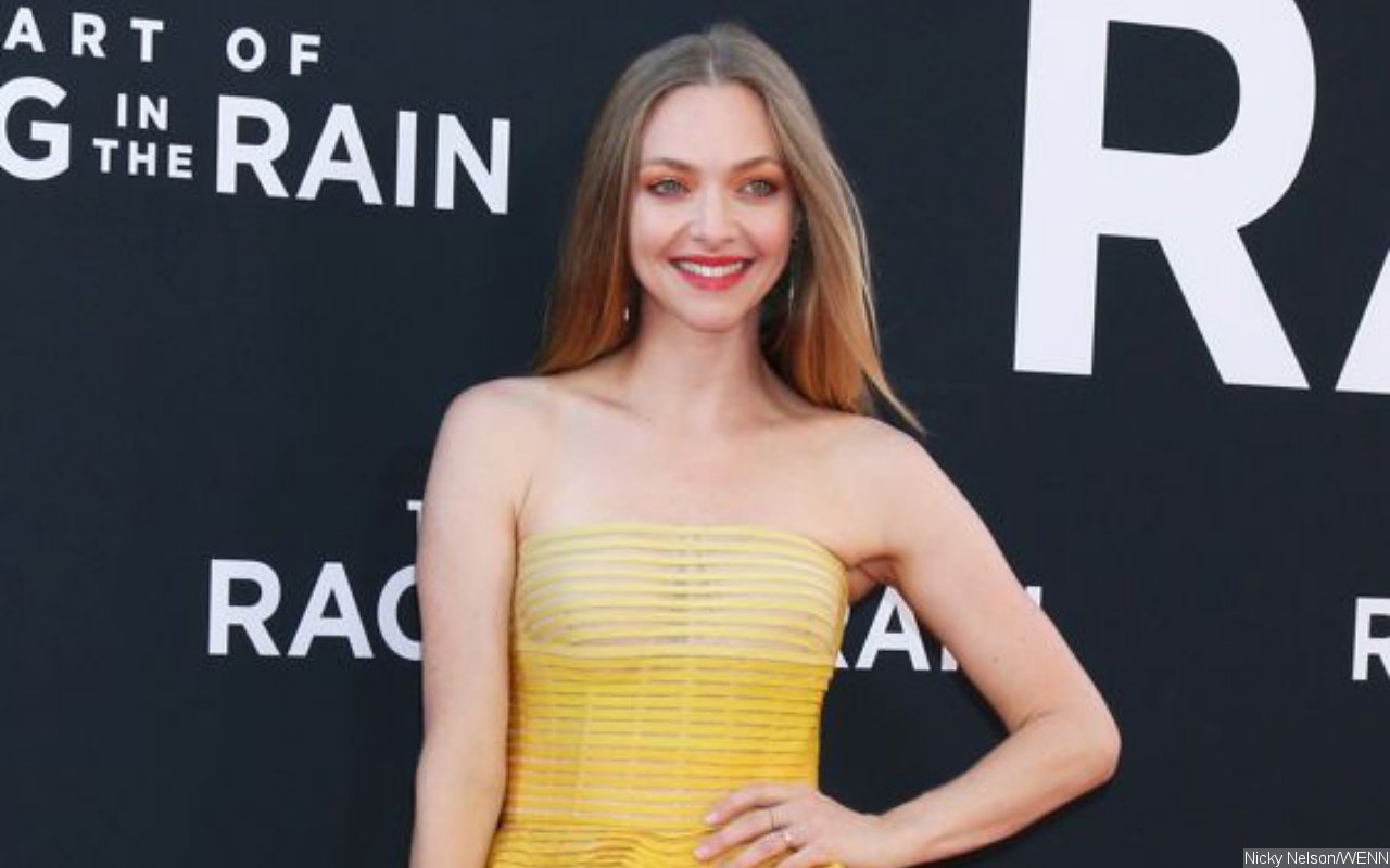 Amanda Seyfried Fears Pregnancy Would Ruin Her Experience Filming 'Mank'