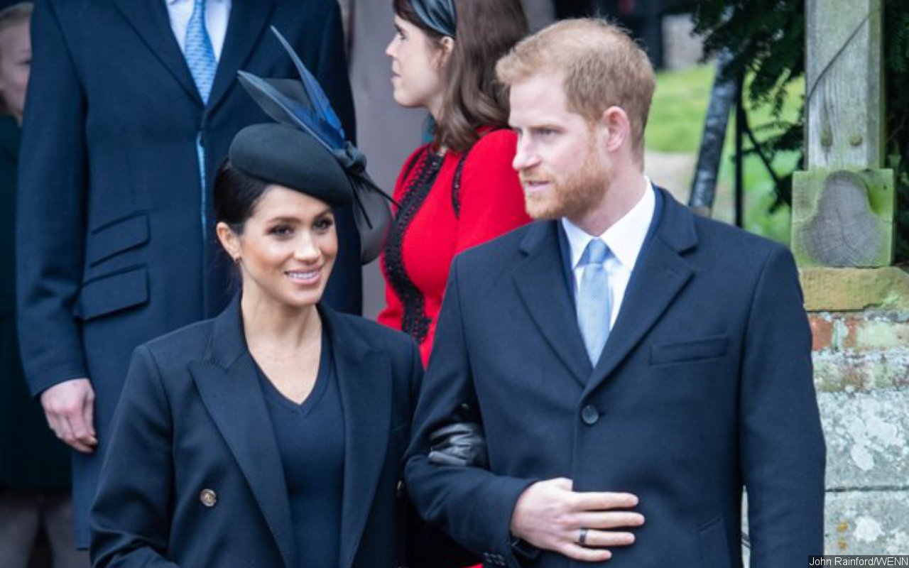 Royal Photographer Blames Meghan Markle for Prince Harry's Anger to Media