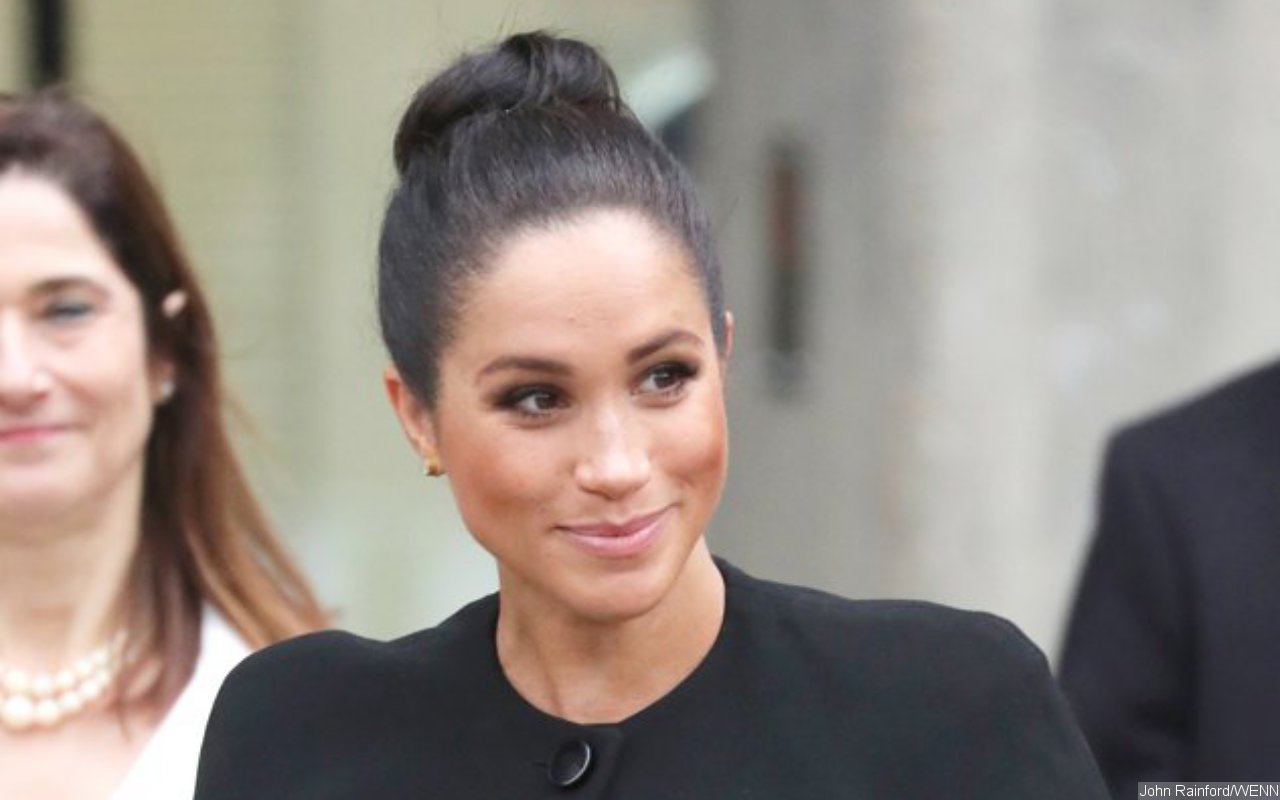 Meghan Markle's Alleged Political Ambition Revealed