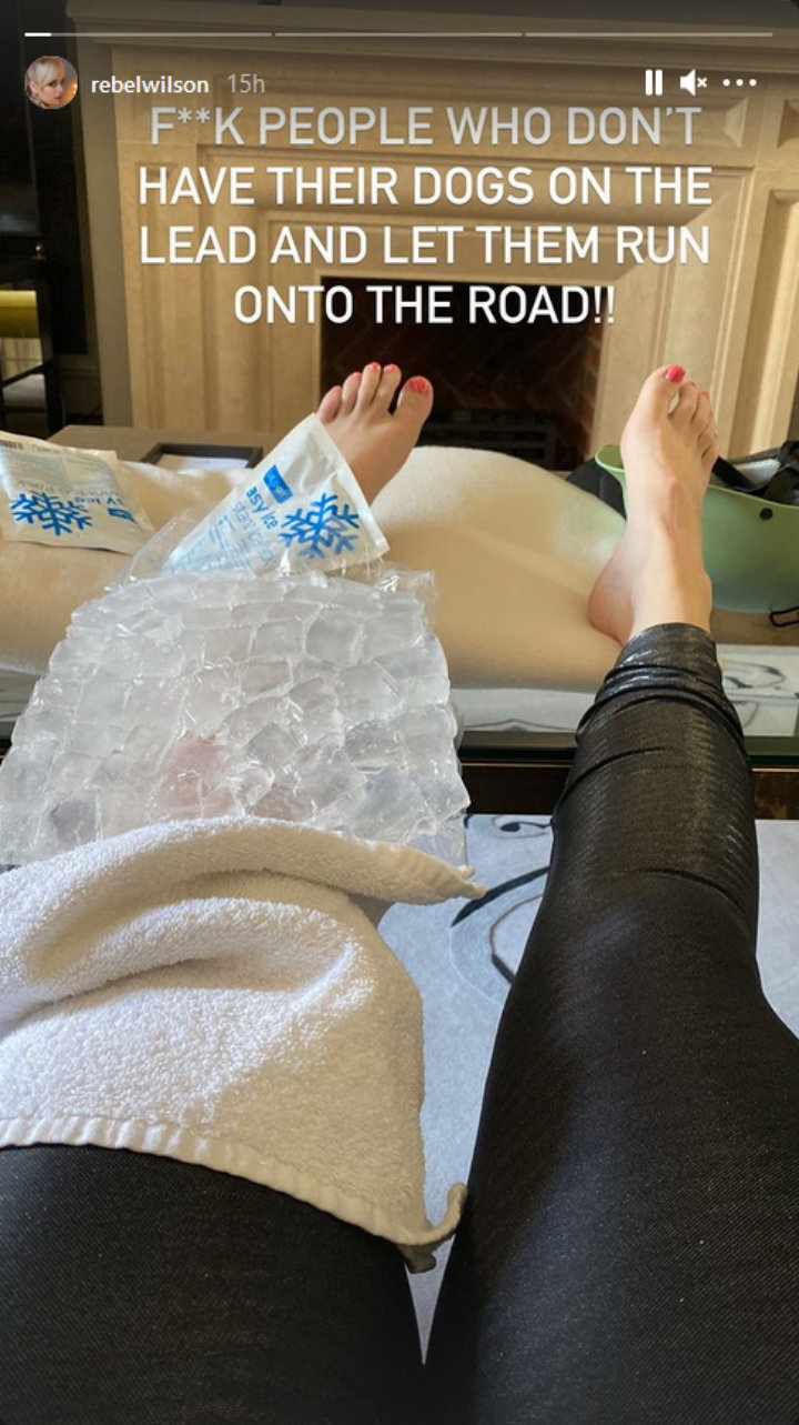 Rebel Wilson's IG Story