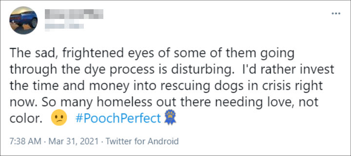 Tweet About 'Pooch Perfect' 03