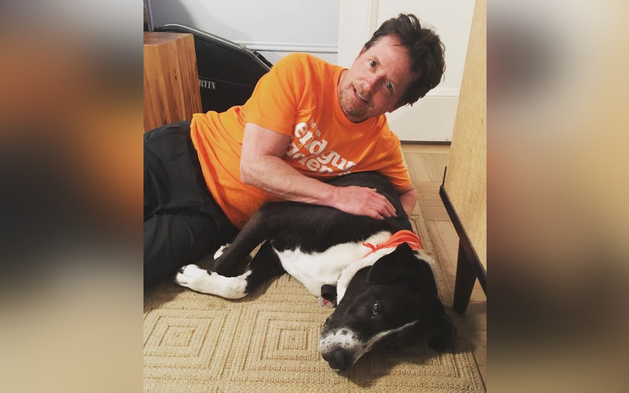 Michael J. Fox Pays Tribute to Beloved Dog After His Death