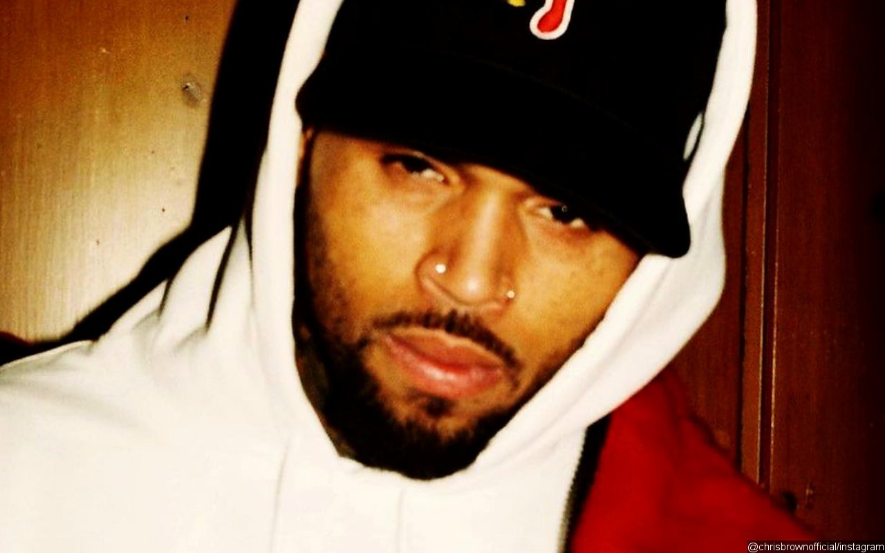 Chris Brown Sued by His Housekeeper After Her Sister Was Attacked by His Dog