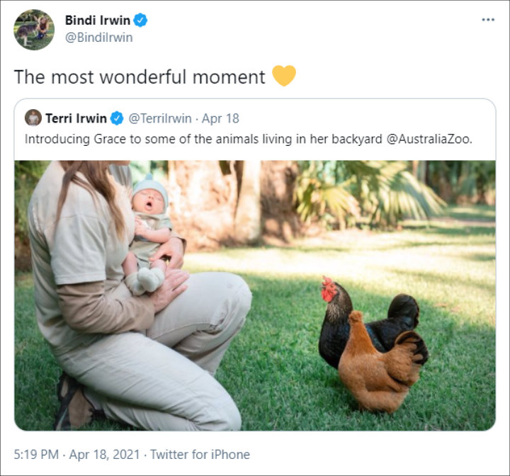 Bindi Irwin's Twitter