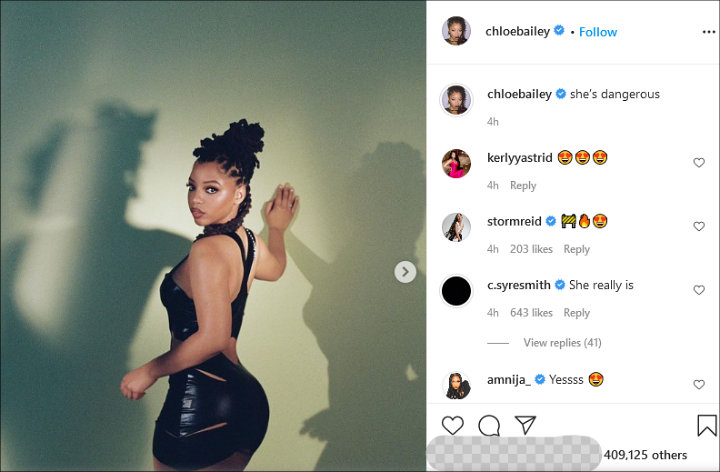 Jaden Smith And Chloe Bailey Caught Getting Flirty On Instagram 