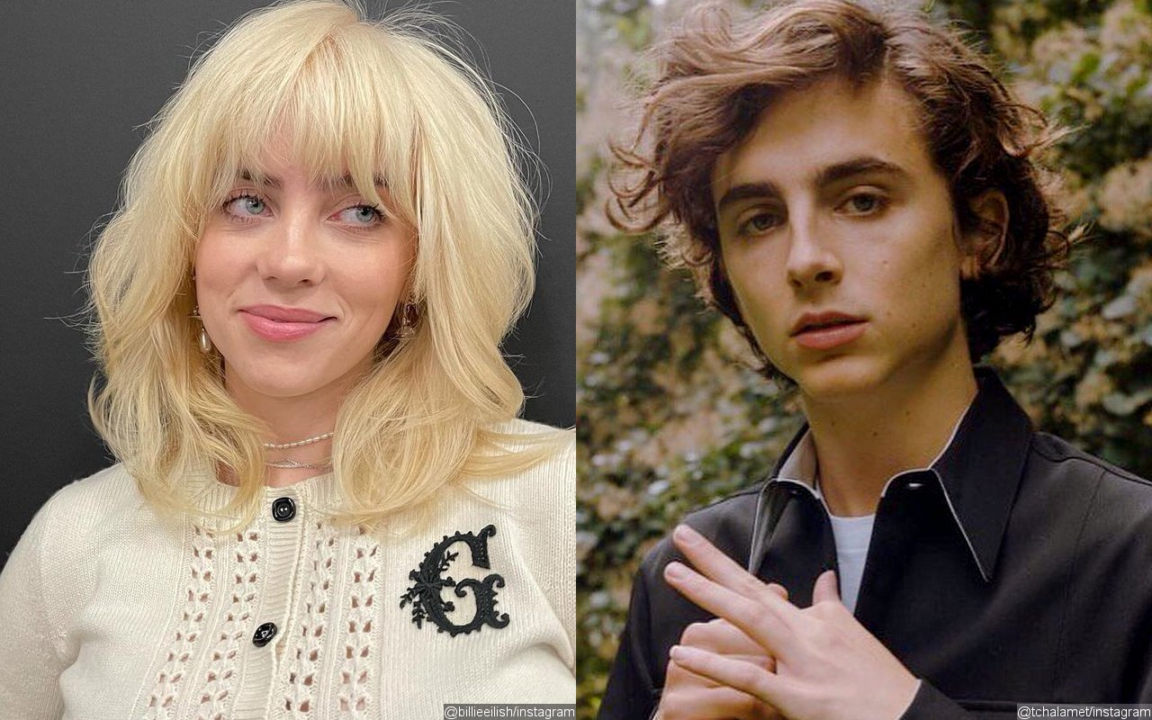 Billie Eilish Joins Timothee Chalamet as Co-Chair of 2021 MET Gala