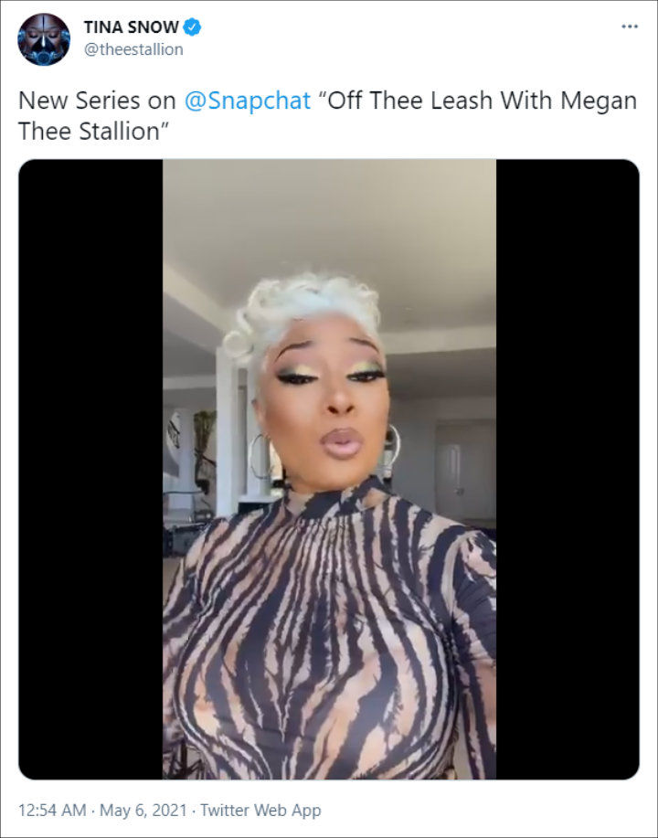 Megan Thee Stallion's Tweet