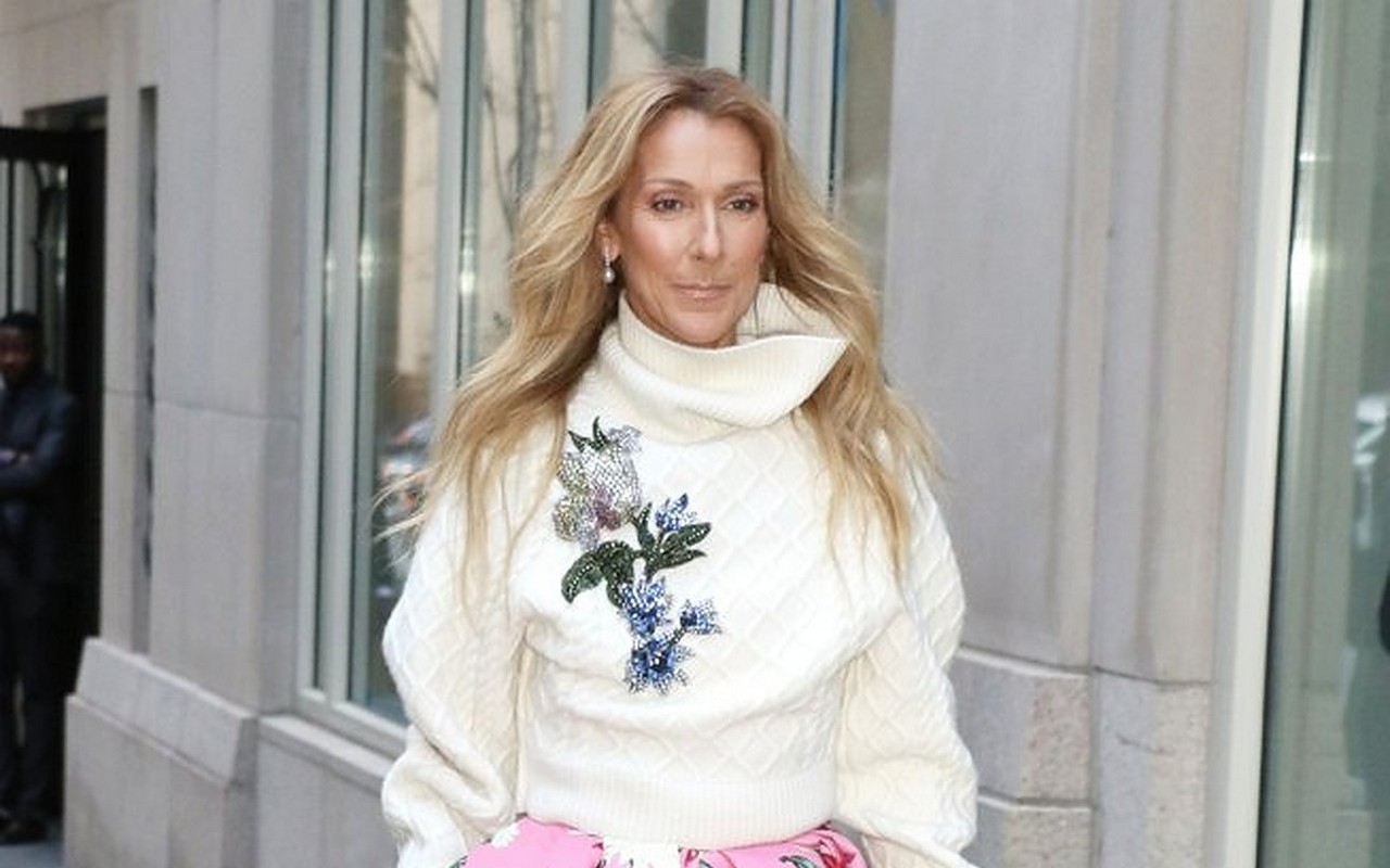 Celine Dion Puts World Tour on Hold Until 2023 - Vimarsana News