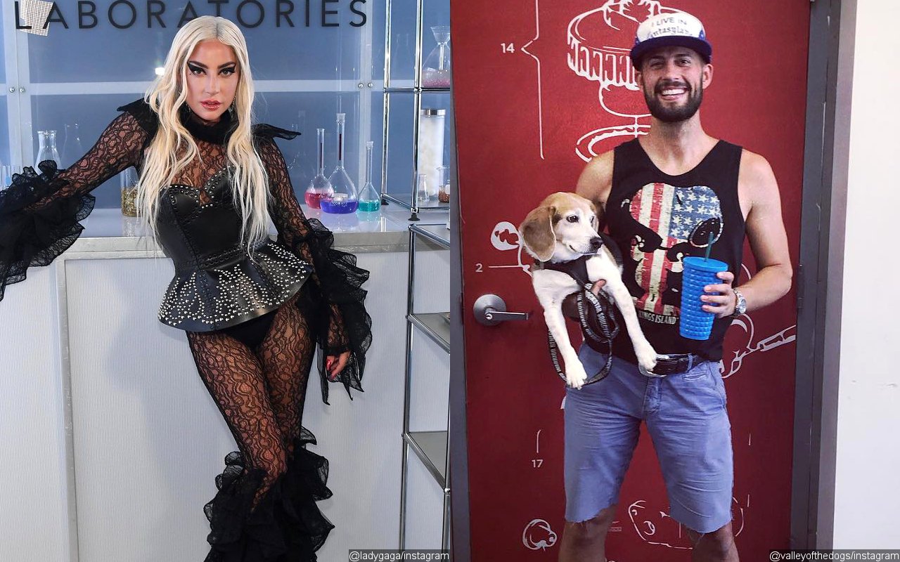 Lady GaGa's Dog Walker Looks Healthy as He Gets Back to Work After