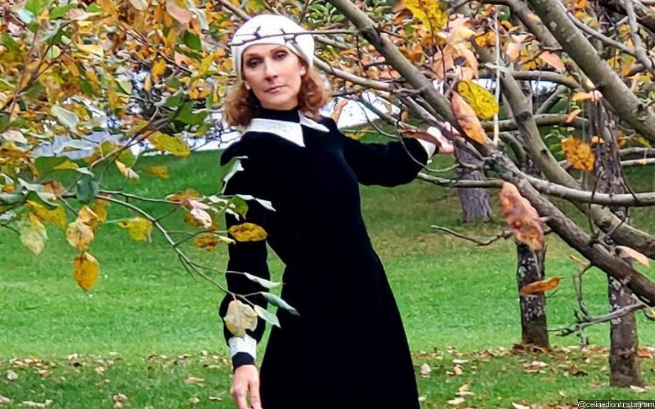 Celine Dion Thankful for Vegas Show as It Allows Her to Really Embrace Motherhood