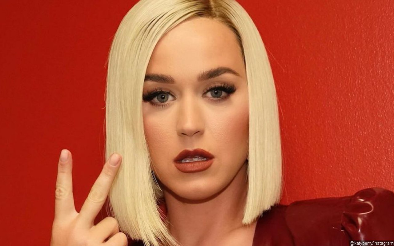 Katy Perry's Daughter Has Her Teeth as She Reveals Daisy's Milestones