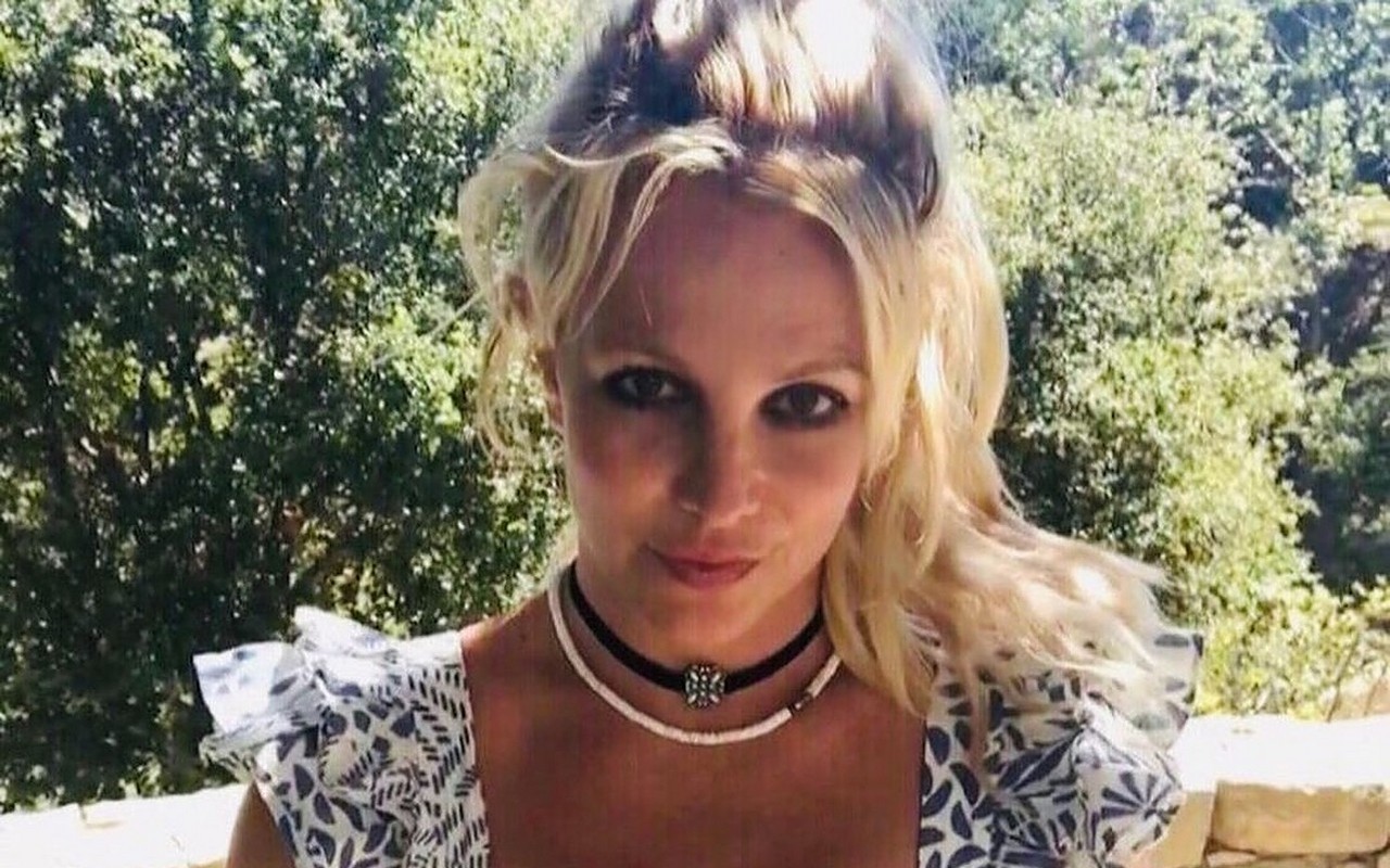 Britney Spears' Request to Move Up Conservatorship Hearing Denied by Judge