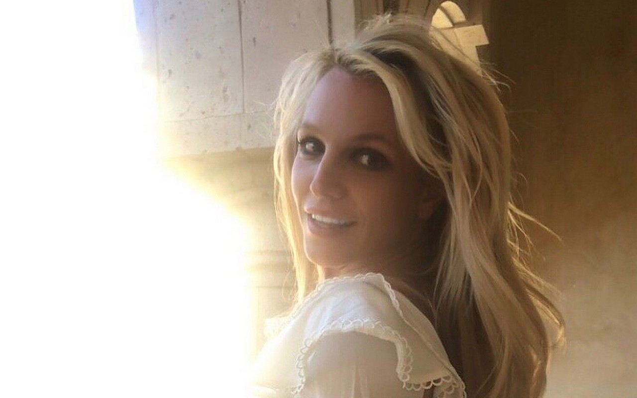 Britney Spears' Lawyer Calls Alleged Battery and Pet Neglect 'Gossip Nonsense'