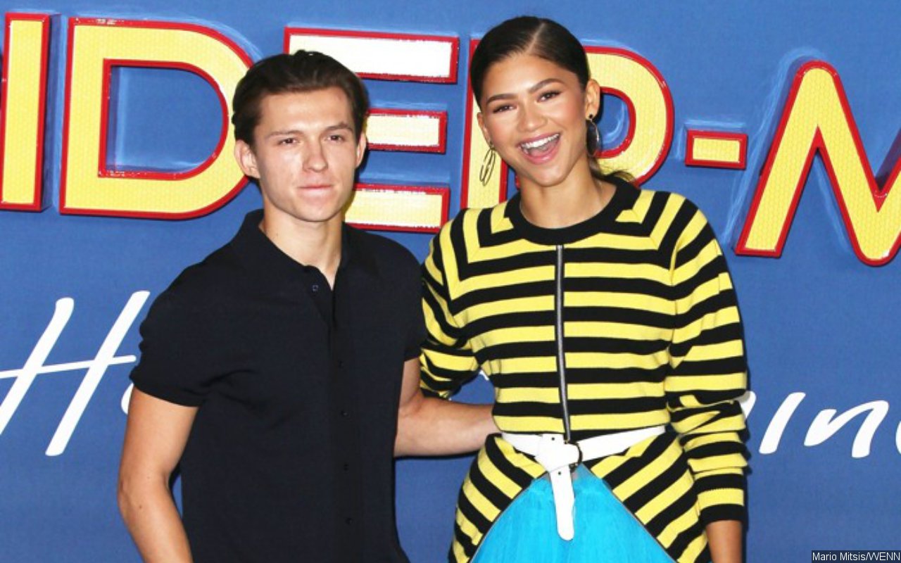 Zendaya and Tom Holland Attend Wedding Together as a Couple