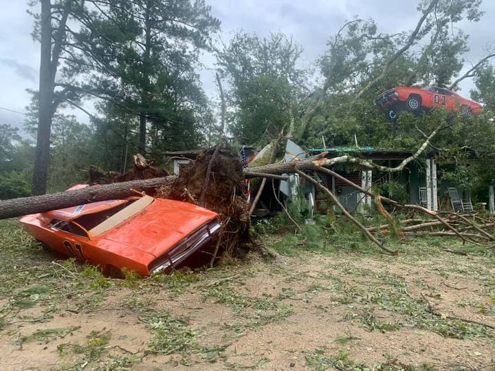 El auto de John Schneider se estrelló contra un árbol caído