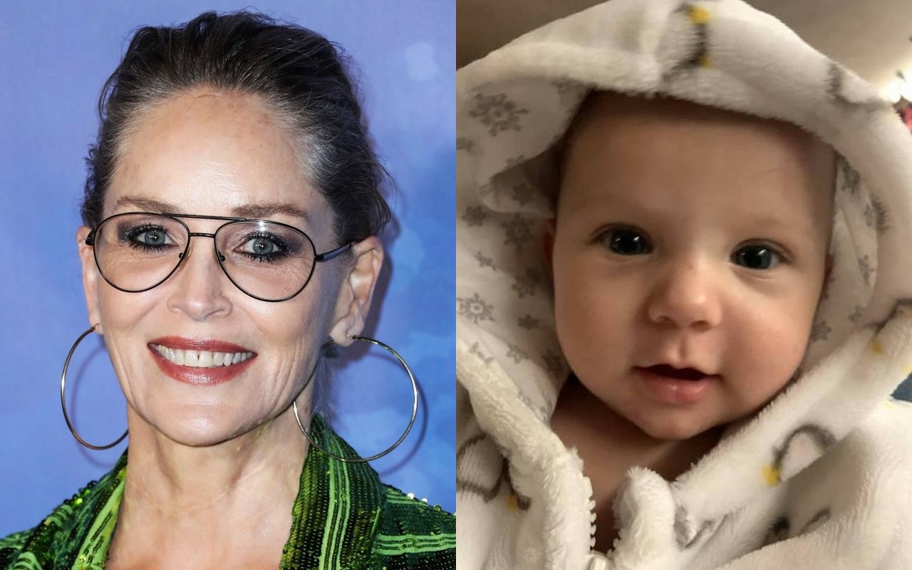 Sharon Stone's Family Donated Nephew's Organs to Save Other Babies Following Heartbreaking Death - Vimarsana News