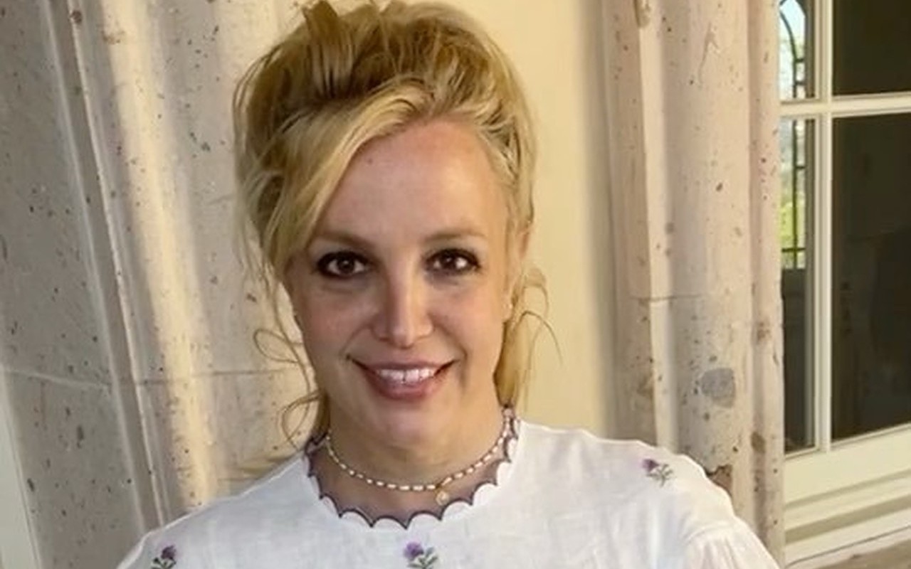 Britney Spears' Bedroom Surveillance Shocks New York Times Documentary Director 