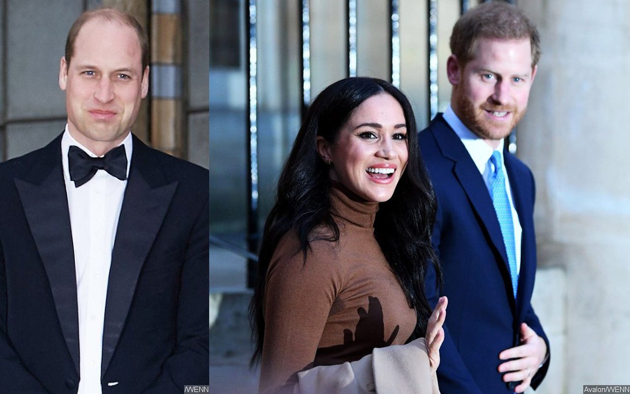 Prince William Reportedly Stopped Prince Harry and Meghan Markle From