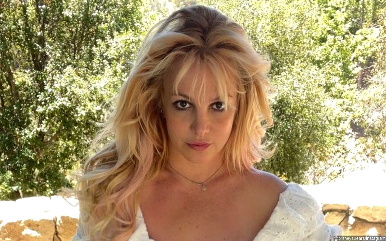 Britney Spears 'Cried' Over Fans' Support for 'Free Britney' Movement