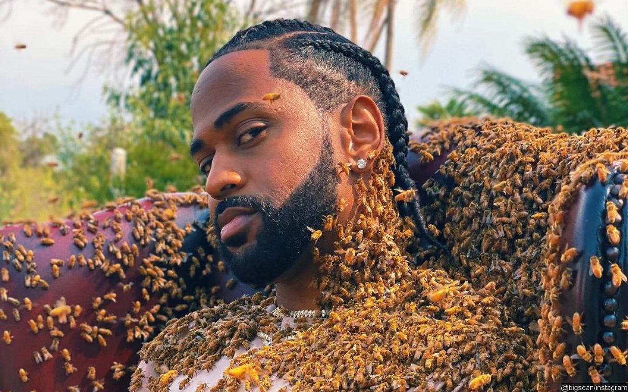 Big Sean Poses With 65,000 Bees as He Releases New Song 'What a Life' Ft. Hit-Boy