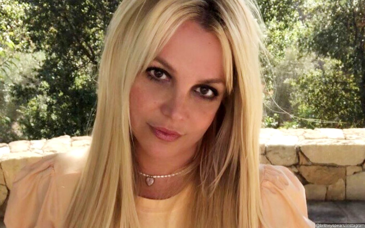Britney Spears Gets Candid About Her Family 'Hurting' Her in an Instagram Rant