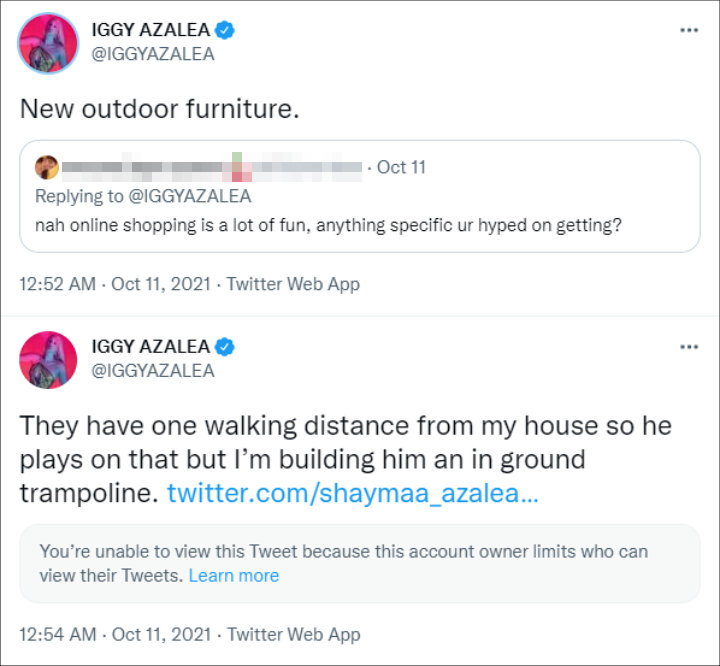 Iggy got some things from shopping online