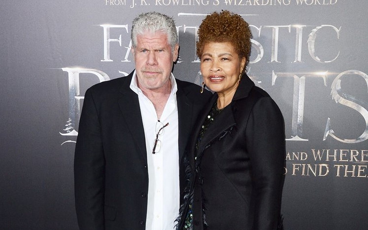 Рон перлман дети и жена фото Ron Perlman Pays Spousal Support and Leaves Marital House to Ex-Wife in Divorce 
