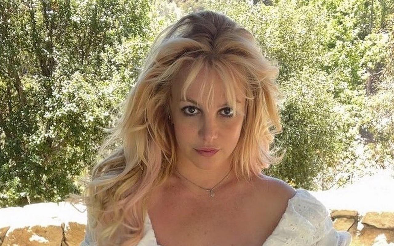 Britney Puts Wedding Plans on Hold Until Next Conservatorship Hearing 