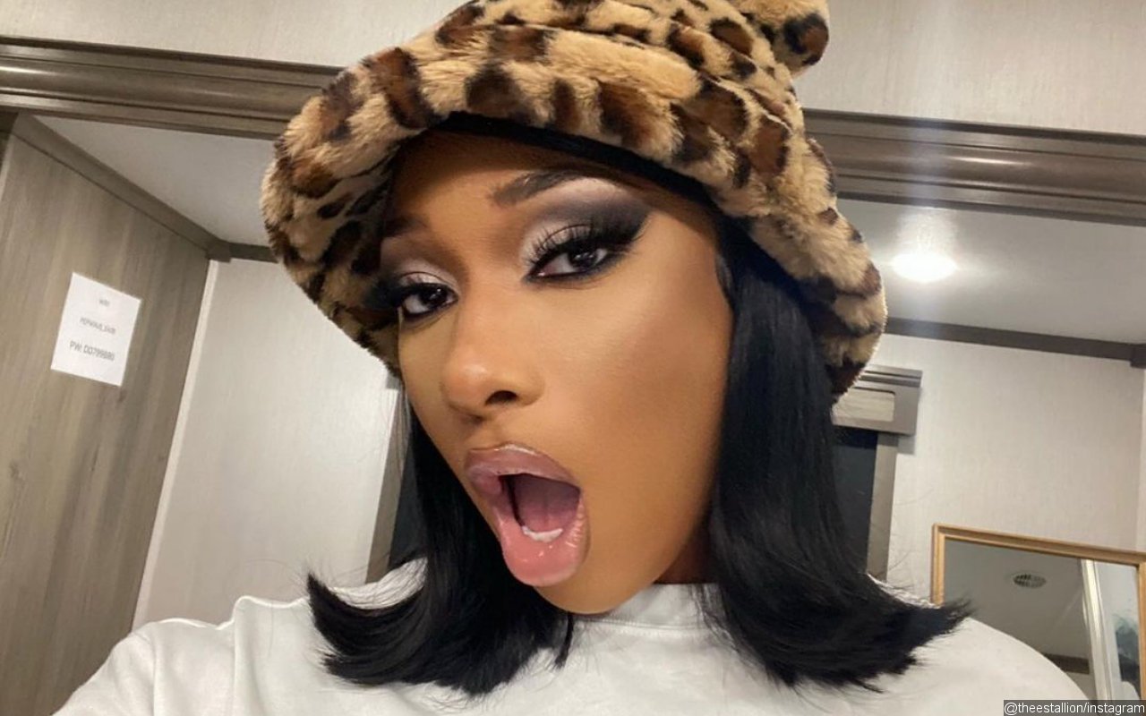 Megan Thee Stallion Slips Into Thong Swimsuit for Raunchy College Graduation Photos