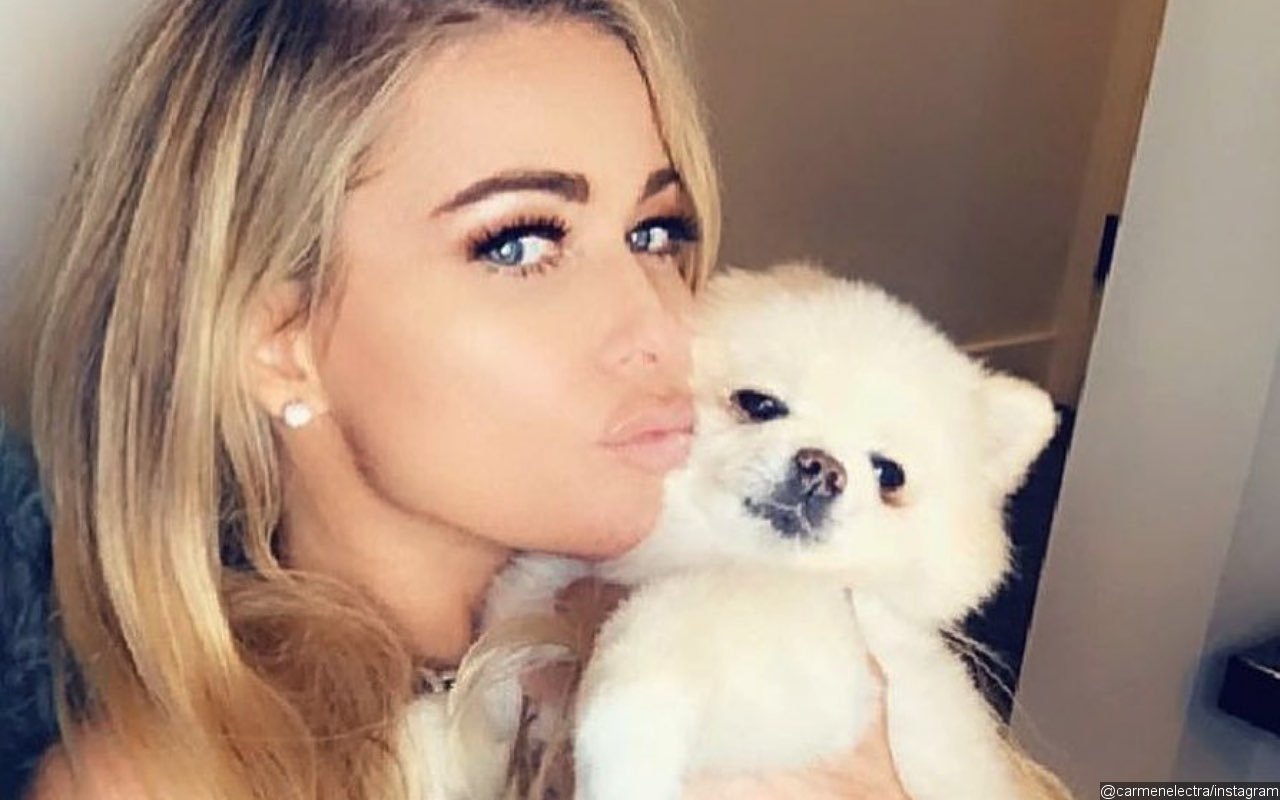 Carmen Electra Left Devastated by Death of Beloved Dog