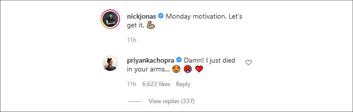 Priyanka Chopra's Comment on Nick Jonas' IG Post