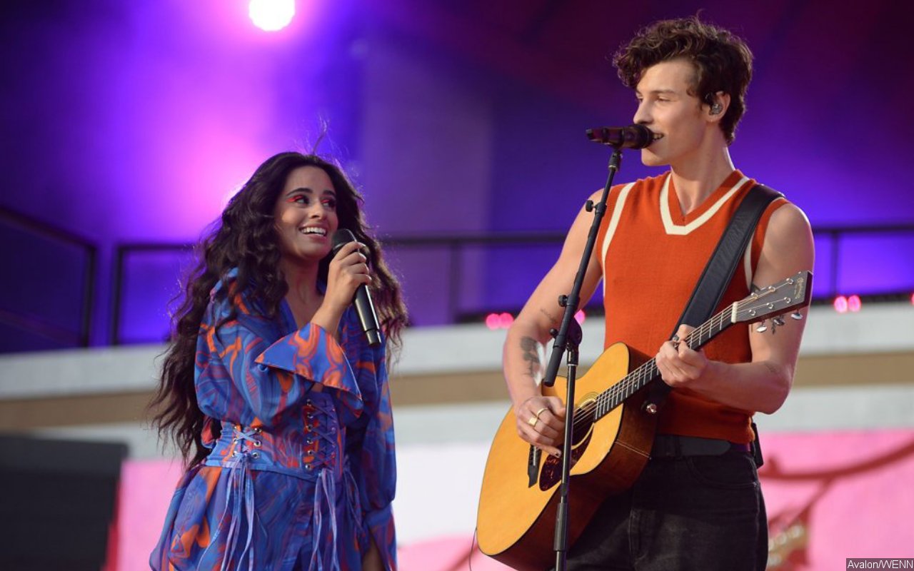 Camila Cabello Opens Up About Anxiety Affecting Her Relationship With Shawn Mendes Before Split