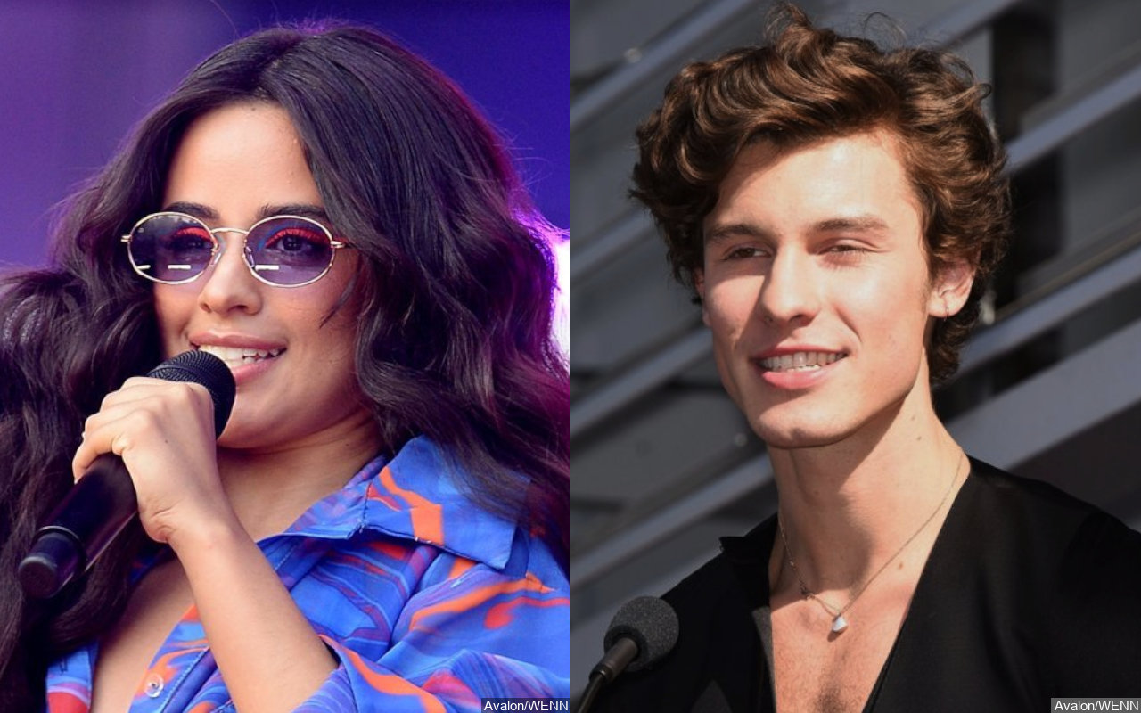Camila Cabello Appears to Be in Low Spirits in First Public Pic After Shawn Mendes Split - Vimarsana News