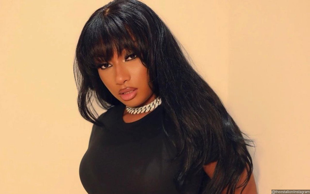 Megan Thee Stallion Applauded for Proudly Flaunting Stretch Marks in Seductive Photo
